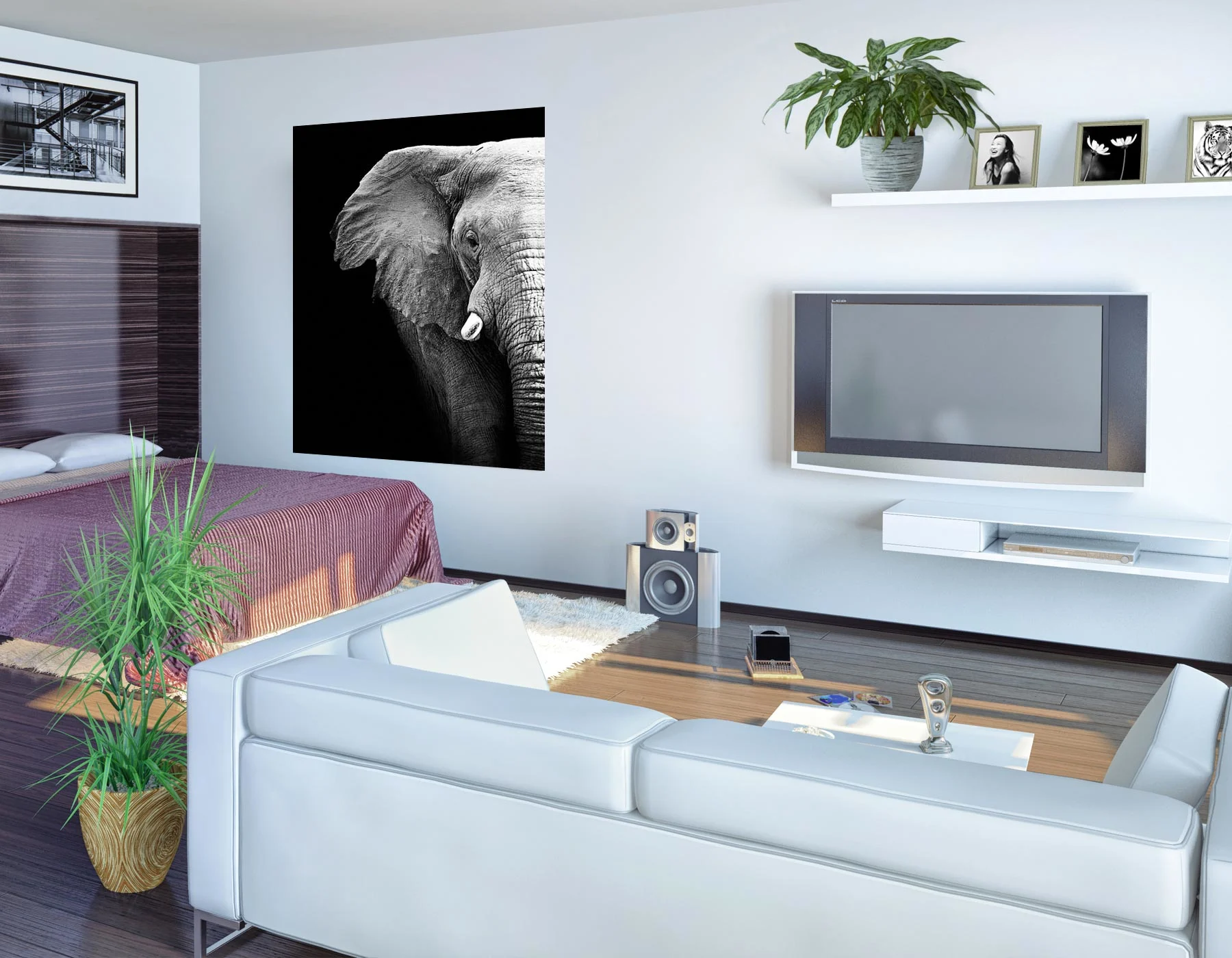 Living room with a large black-and-white elephant poster mounted on the wall beside a flat-screen TV and modern shelves.