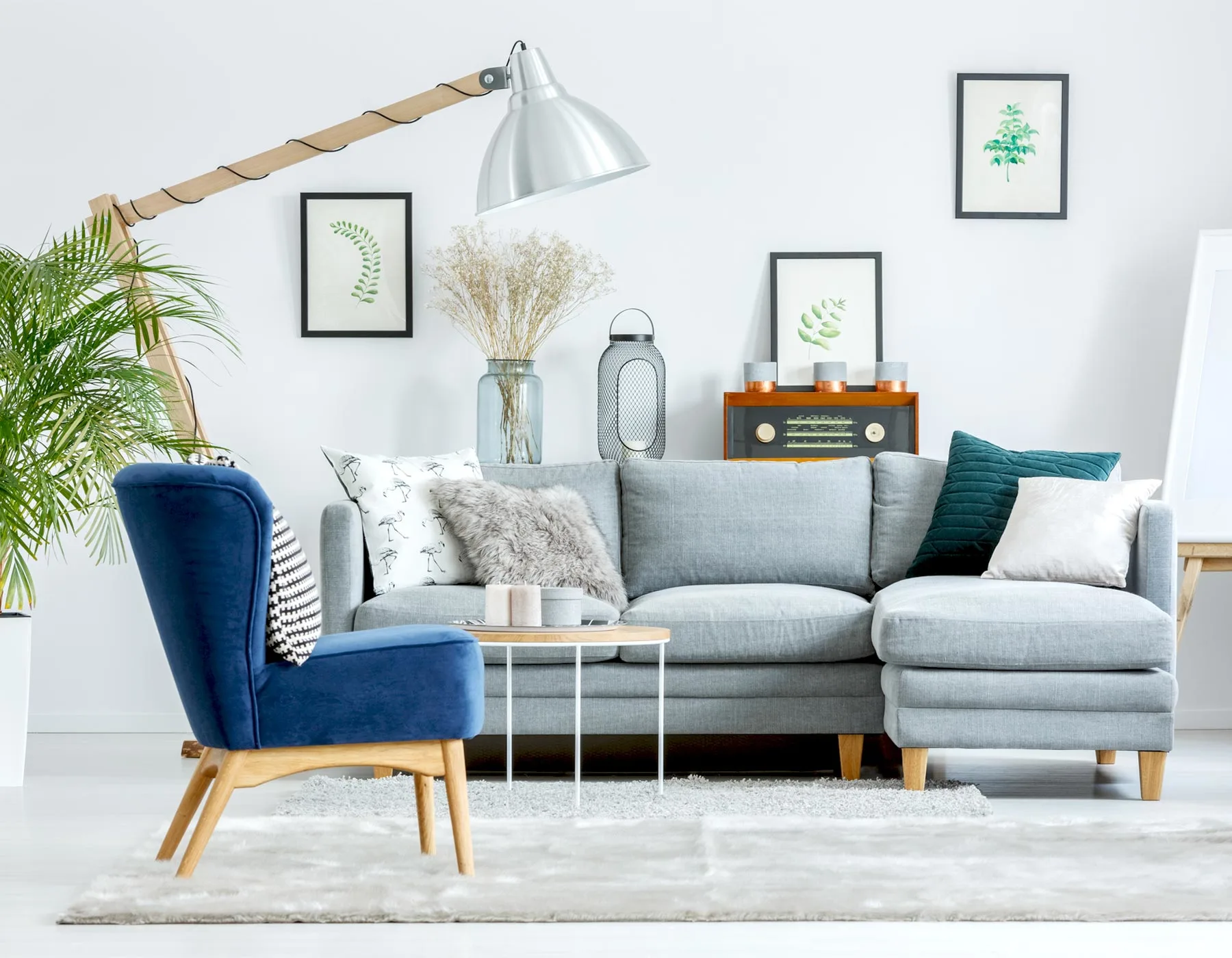 Bright living room with a gray sofa, blue velvet chair, white shag rug, and botanical framed art on the wall.